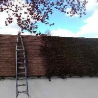 John Mulley Roof Cleaning Oxted