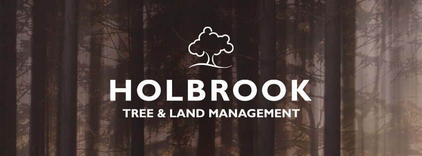Holbrook Tree & Land Management
